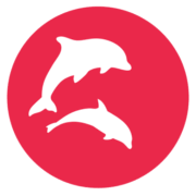 Daywize logo
